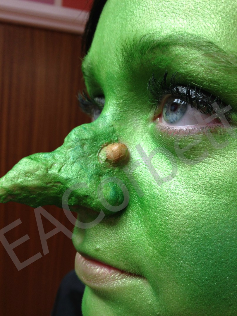 Witch nose I hand Sculpted using wax. achieved in my second year on my Betec course.